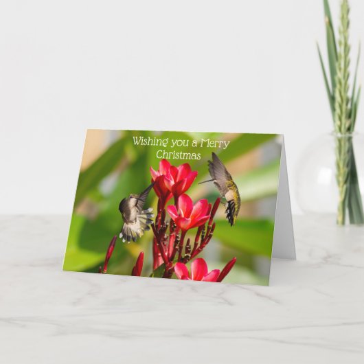 Faltkarte Karte (Vorderseite)