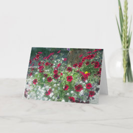 Faltkarte mit Alpine Petunias Karte