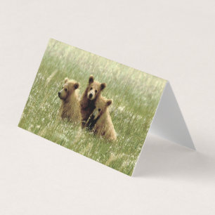 Faltkarte mit geklapptem Notizbuch von Grizzly Bär