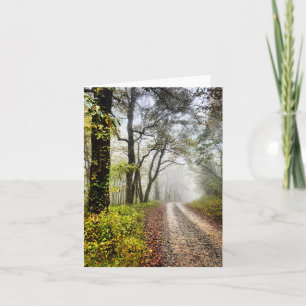 Faltkarte mit originalem Waldland-Foto Karte