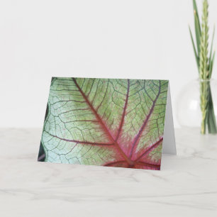 - Faltkarte mit Verlassen Caladium Karte