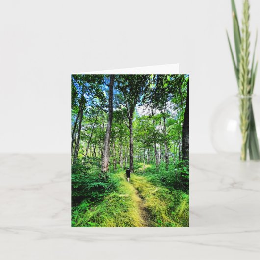 Faltkarte mit Wald-Foto Karte (Vorderseite)