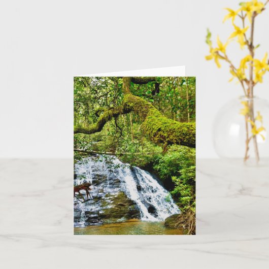 Faltkarte mit Wasserfall Karte (Gelbe Blume)