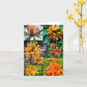 Faltkarte mit Wildblume-Collage Karte (Gelbe Blume)