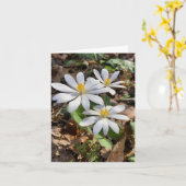 Faltkarte mit Wildblume-Foto Karte (Gelbe Blume)