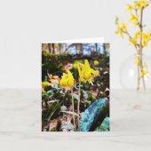 Faltkarte mit Wildblume-Foto Karte (Gelbe Blume)