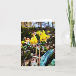 Faltkarte mit Wildblume-Foto Karte