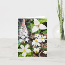 Faltkarte mit Zusammenstellung von Wildblumen