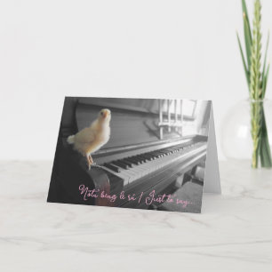 Faltkarte Nóta beag le rá / Nur zu sagen Karte