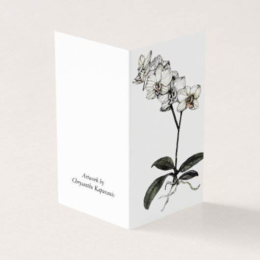 Faltkarte_Orchid botanisch (Vorderseite)