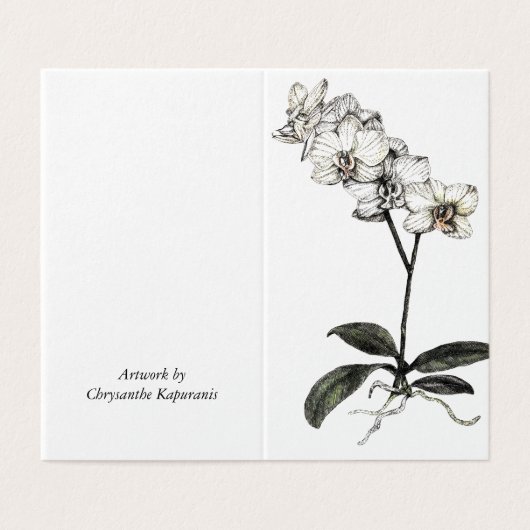 Faltkarte_Orchid botanisch (Außenseite Aufgefaltet)