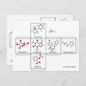 Faltkarte Postkarte (Vorne/Hinten)