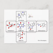 Faltkarte Postkarte (Vorderseite)