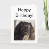 Faltkarte Verwirrtes Dog Meme Karte (Vorderseite)