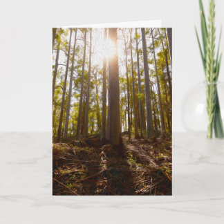 Faltkarte, Wohnraum Ankündigung