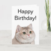 Faltkartenschachtel Karte (Vorderseite)