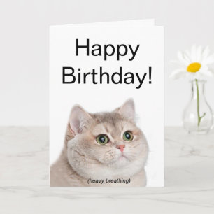 Faltkartenschachtel Karte