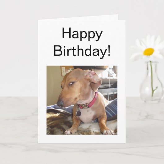 Faltkartenseite des Auges Karte (Kleine Pflanze)