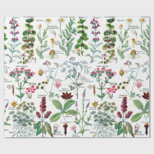 Faltpapier für botanische Illustrationen Geschenkpapier