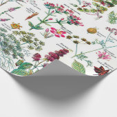 Faltpapier für botanische Illustrationen Geschenkpapier (Ecke)