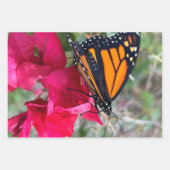 Faltpapier für Monarchschmetterlinge Geschenkpapier Set (Vorderseite 3)