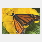 Faltpapier für Monarchschmetterlinge Geschenkpapier Set (Vorderseite 2)