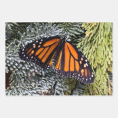 Faltpapier für Monarchschmetterlinge Geschenkpapier Set (Vorderseite)