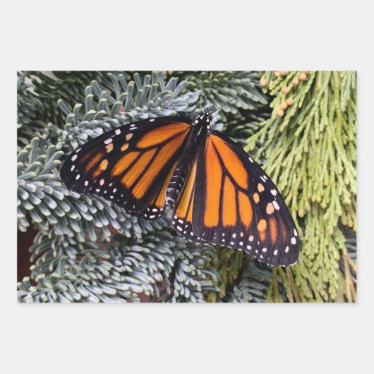 Faltpapier für Monarchschmetterlinge Geschenkpapier Set (Vorderseite)