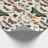 Faltpapier für Retro-Schmetterlinge Geschenkpapier (Ecke)