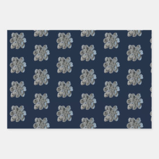 Faltpapierblätter 3 Austern Geschenkpapier Set