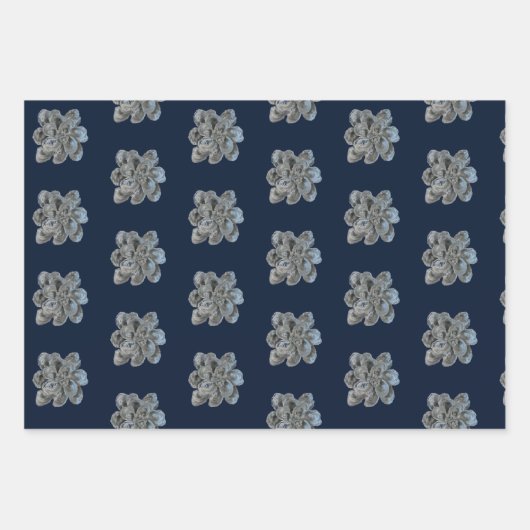 Faltpapierblätter 3 Austern Geschenkpapier Set (Vorderseite 2)