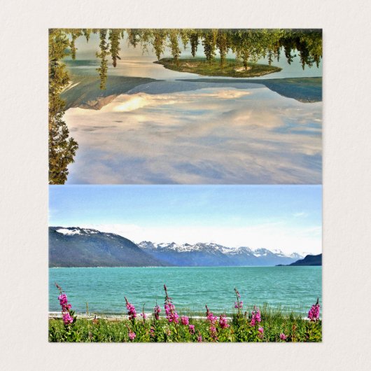 Faltschachtel für Alaska (Außenseite Aufgefaltet)