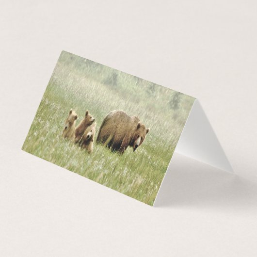 Faltschachtel für Grizzlybären und Knochen (Rückseite)