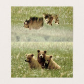 Faltschachtel für Grizzlybären und Knochen (Außenseite Aufgefaltet)