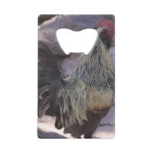 Faltschachtel Geldbeutel Flaschenöffner (Rückseite)