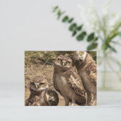 Fam uil postkarte (Stehend Vorderseite)