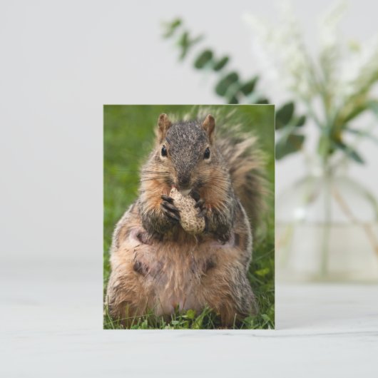 Fambus-Eichhörnchen Postkarte (Stehend Vorderseite)