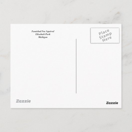 Fambus-Eichhörnchen Postkarte (Rückseite)