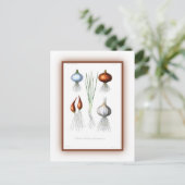 Familie Allium Postkarte (Stehend Vorderseite)