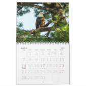 Familie Bald Eagle Kalender (Mär 2027)