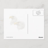 Familie Bald Eagle Postkarte (Rückseite)