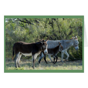 Familie Burro