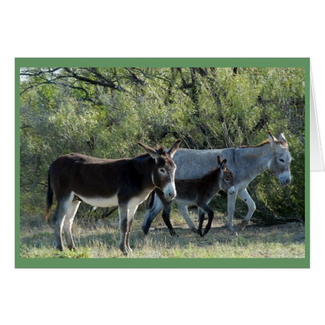 Familie Burro (Vorderseite (Horizontal))