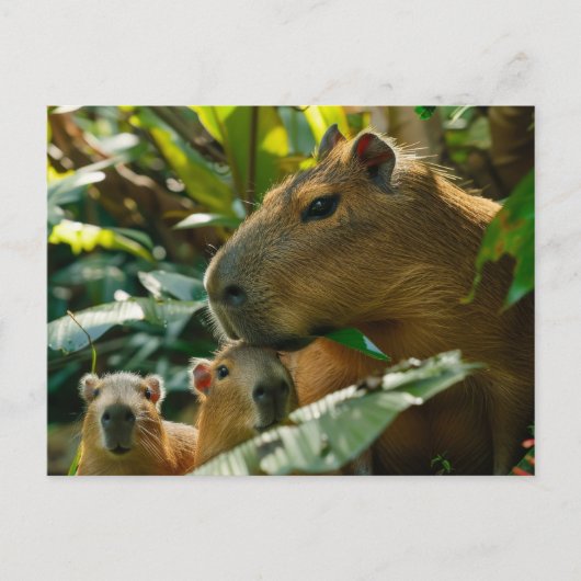 Familie Capybara im tropischen Habitat Postkarte (Vorderseite)