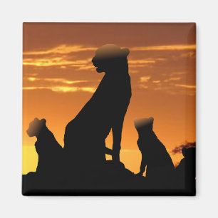 Familie Cheetah Magnet