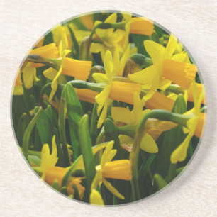 Familie Daffodil Getränkeuntersetzer