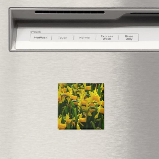 Familie Daffodil Magnet (In Situ (Geschirrspüler))