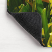 Familie Daffodil Mousepad (Ecke)