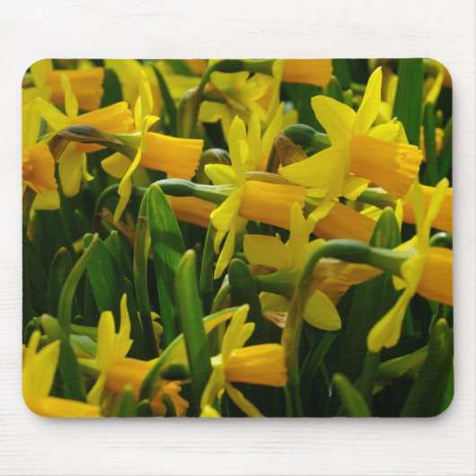 Familie Daffodil Mousepad (Vorne)
