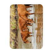 Familie der Braunen Pferde am Fluss Magnet (Vertikal)